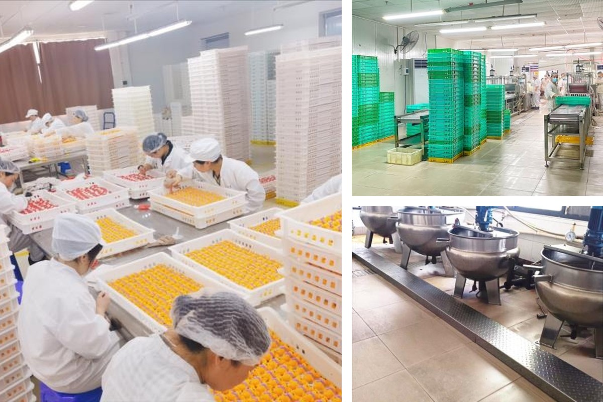 YOUFU hand-finishing team, confectionery line, and cooking equipment
